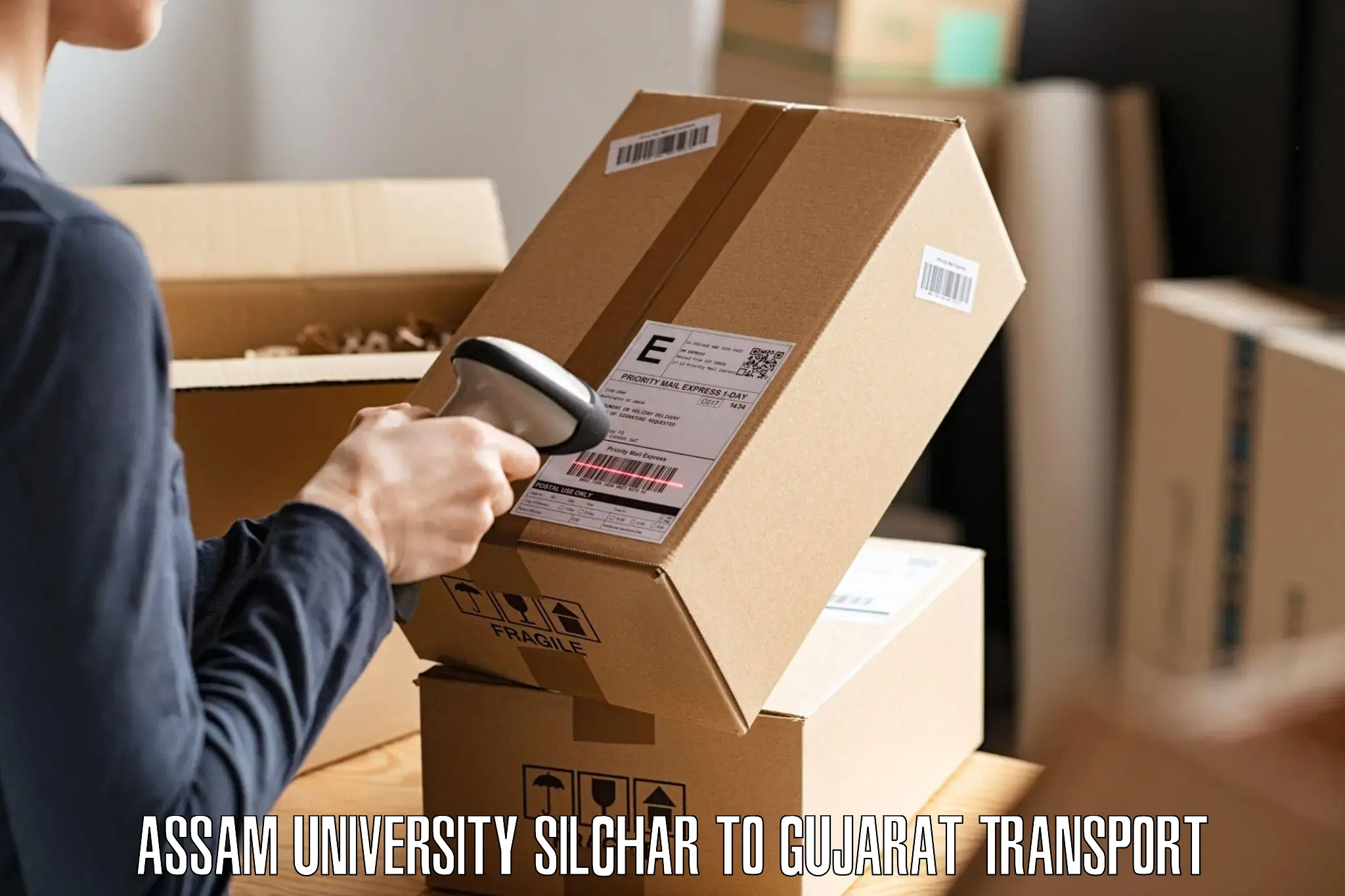 Domestic goods transportation services Assam University Silchar to Anand