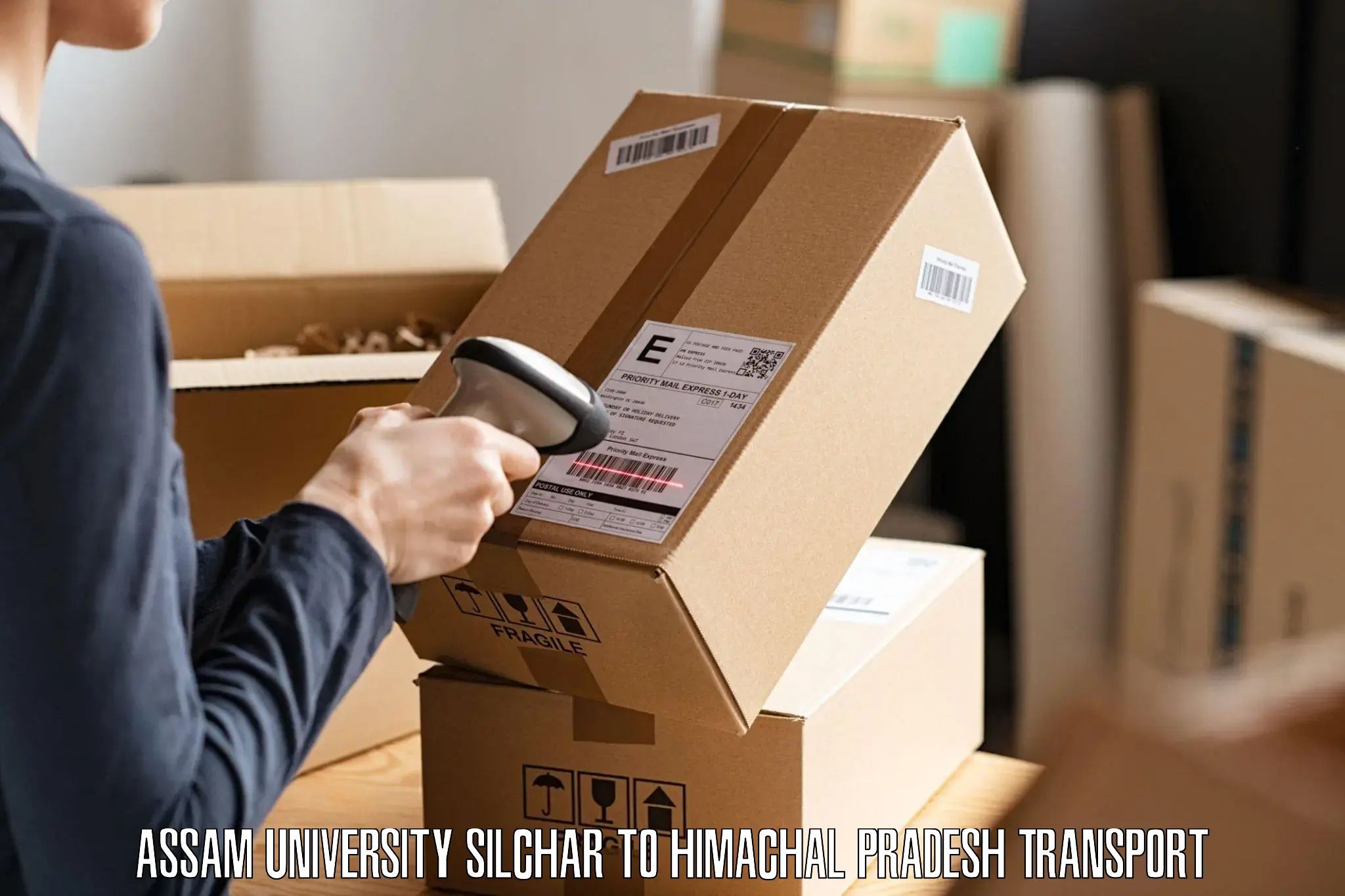 Logistics transportation services Assam University Silchar to Dalhousie