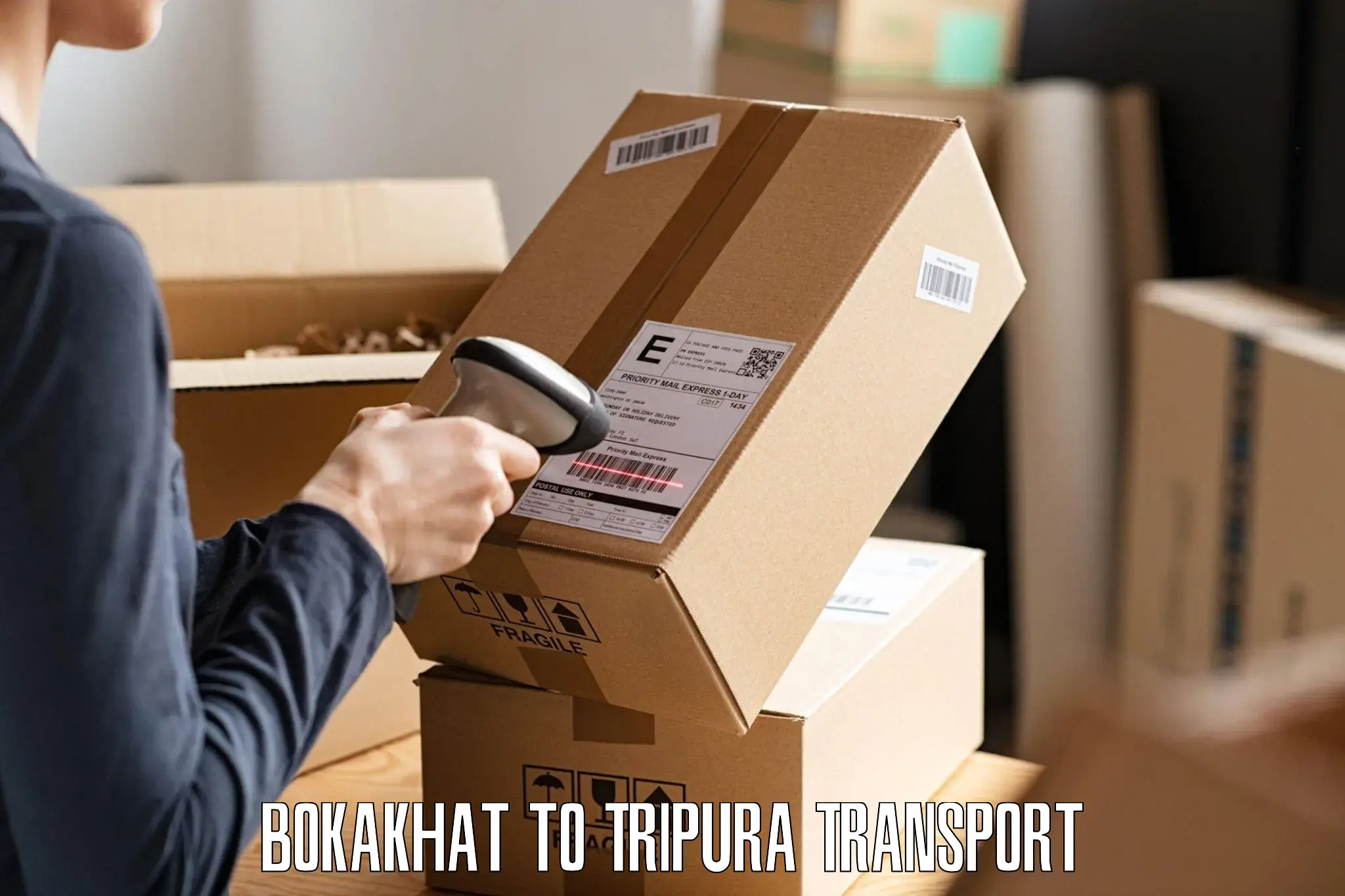 Parcel transport services Bokakhat to Udaipur Tripura