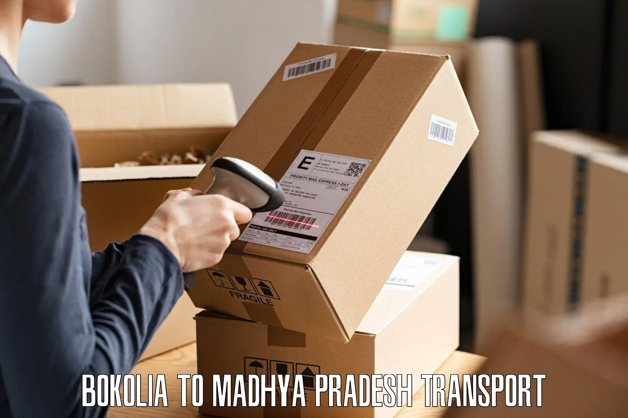 Daily parcel service transport Bokolia to Madhya Pradesh