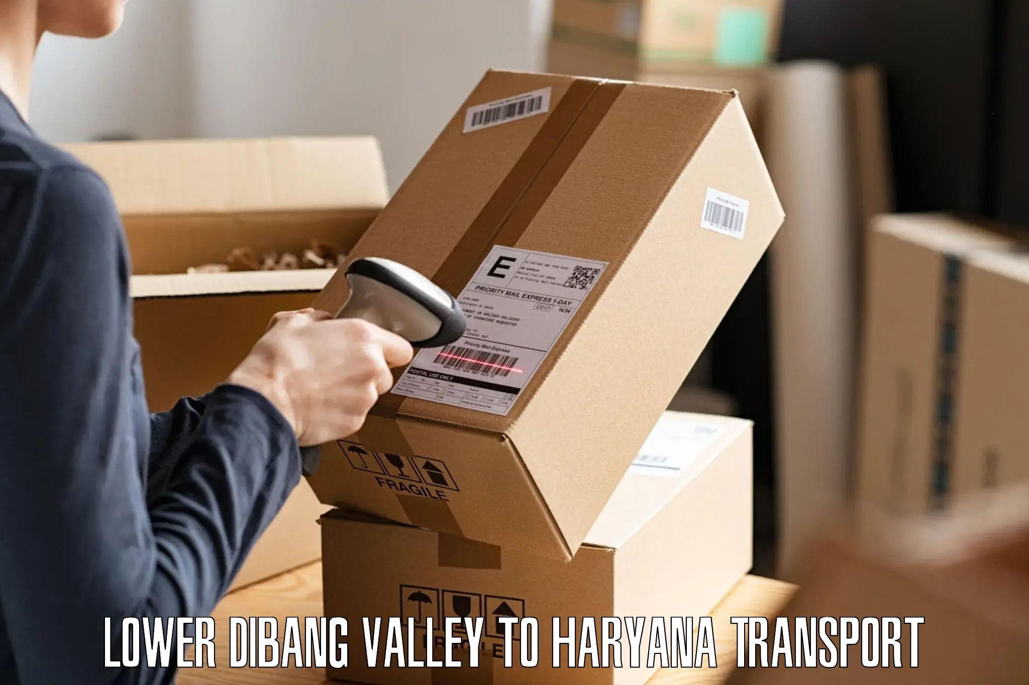 Air freight transport services in Lower Dibang Valley to Haryana