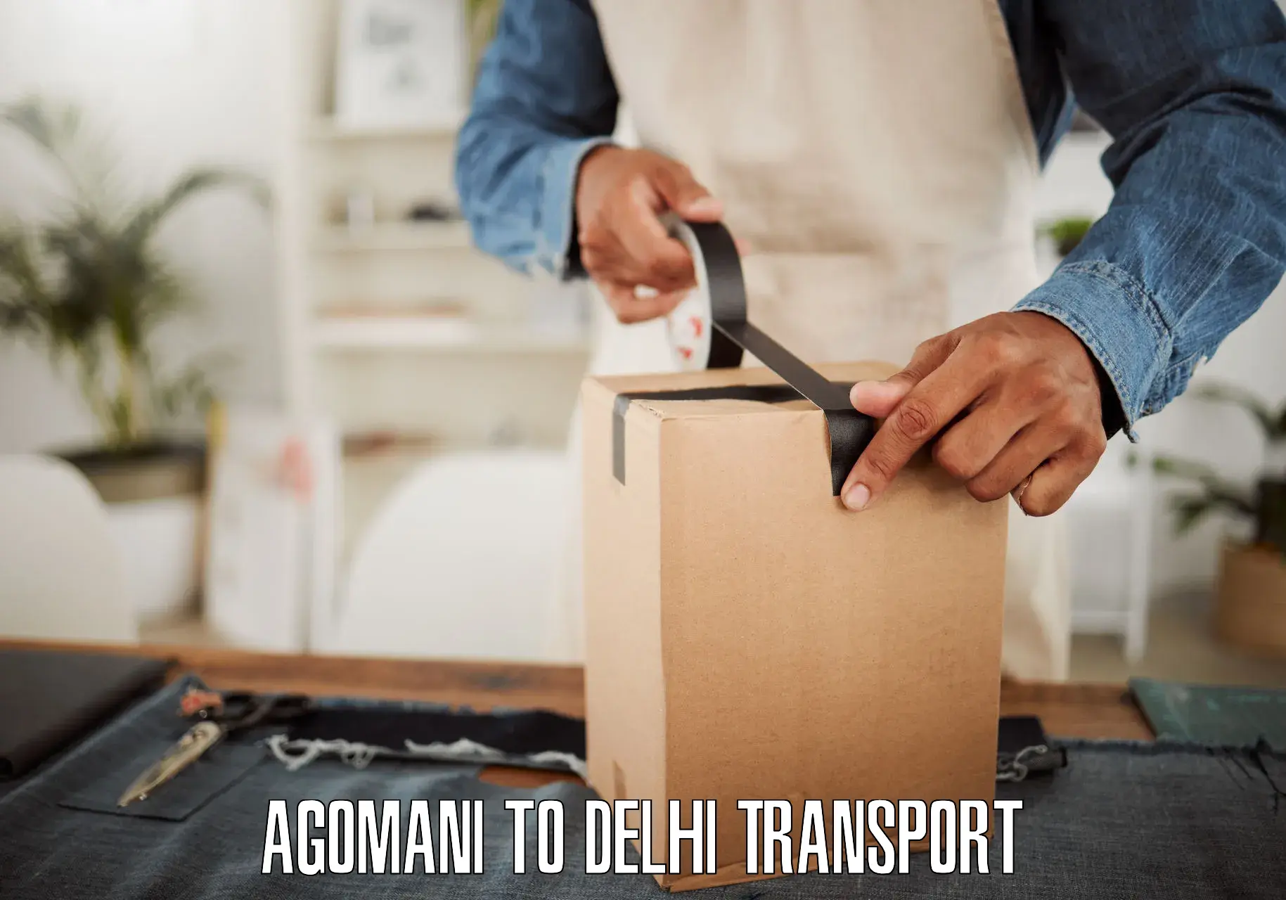 Transportation solution services in Agomani to Delhi