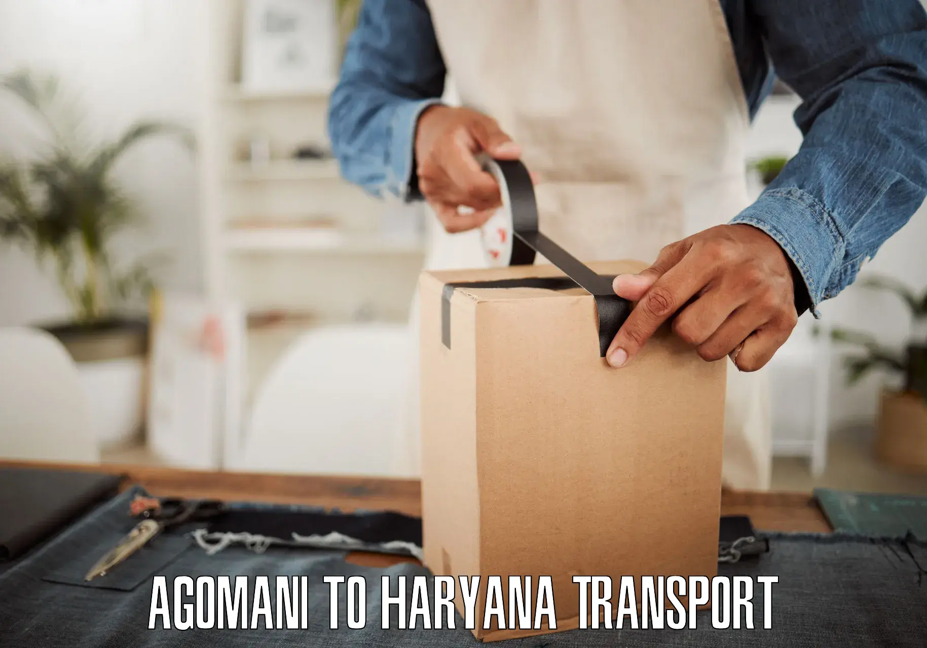 Road transport online services Agomani to Gurugram