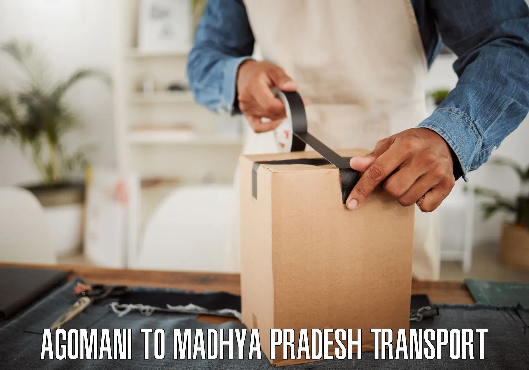 Two wheeler parcel service Agomani to Dhamnod