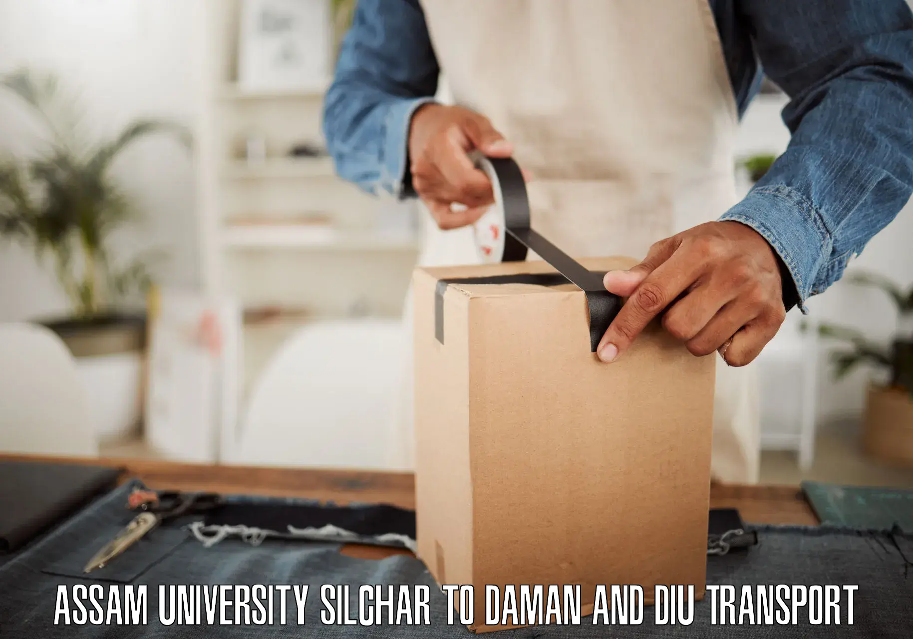 Vehicle courier services Assam University Silchar to Daman and Diu