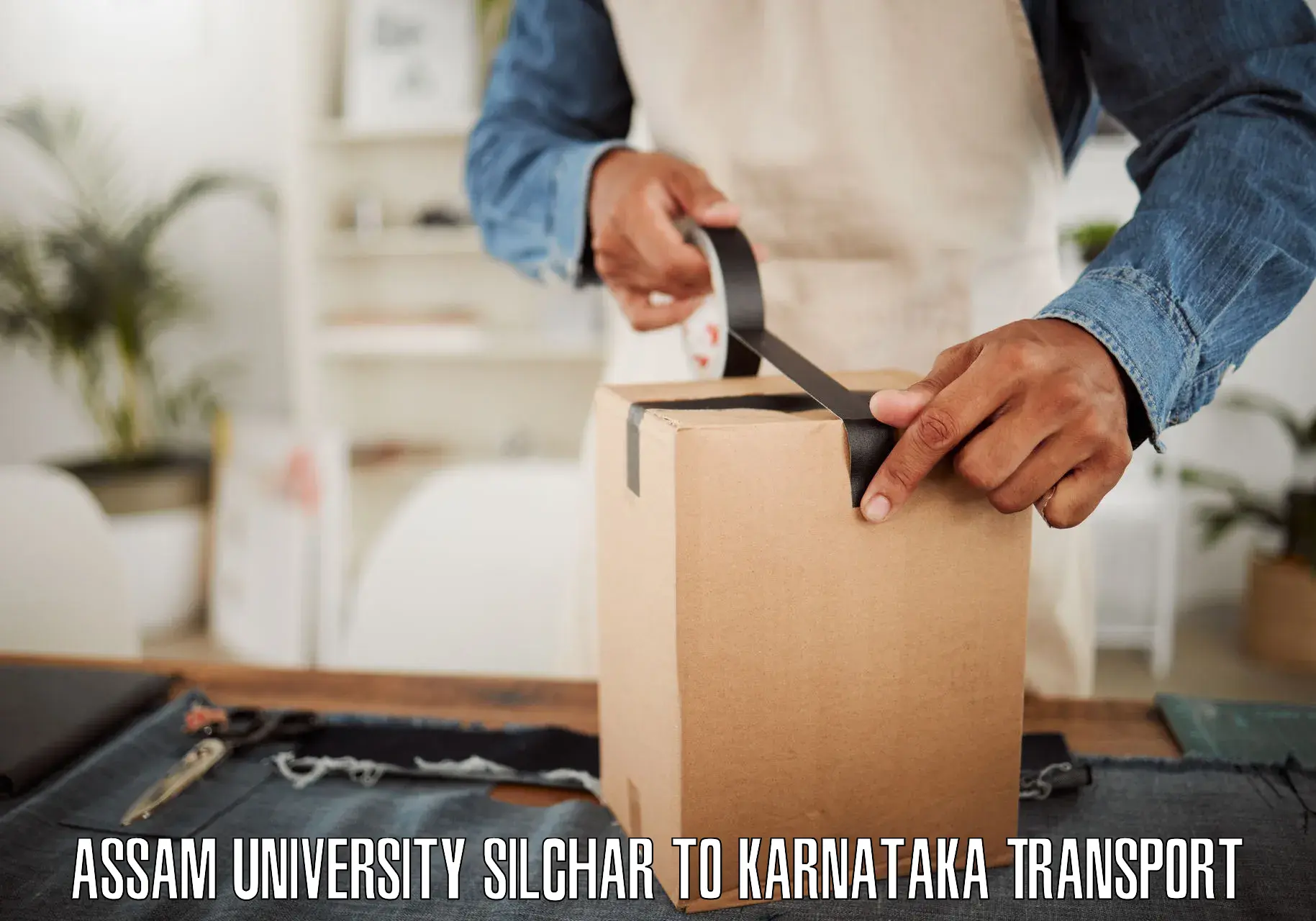 Furniture transport service Assam University Silchar to Sindhanur