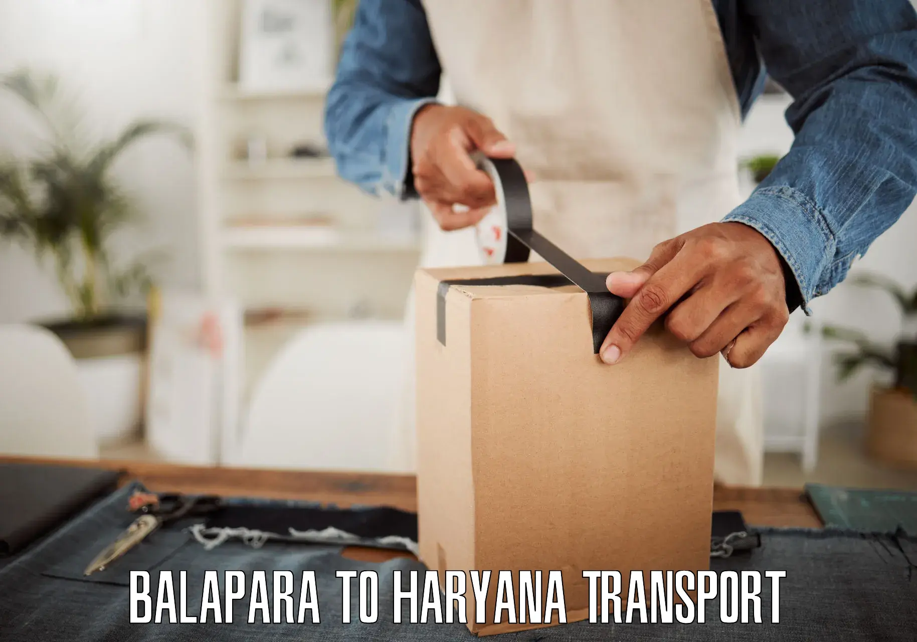 Two wheeler parcel service Balapara to Bilaspur Haryana