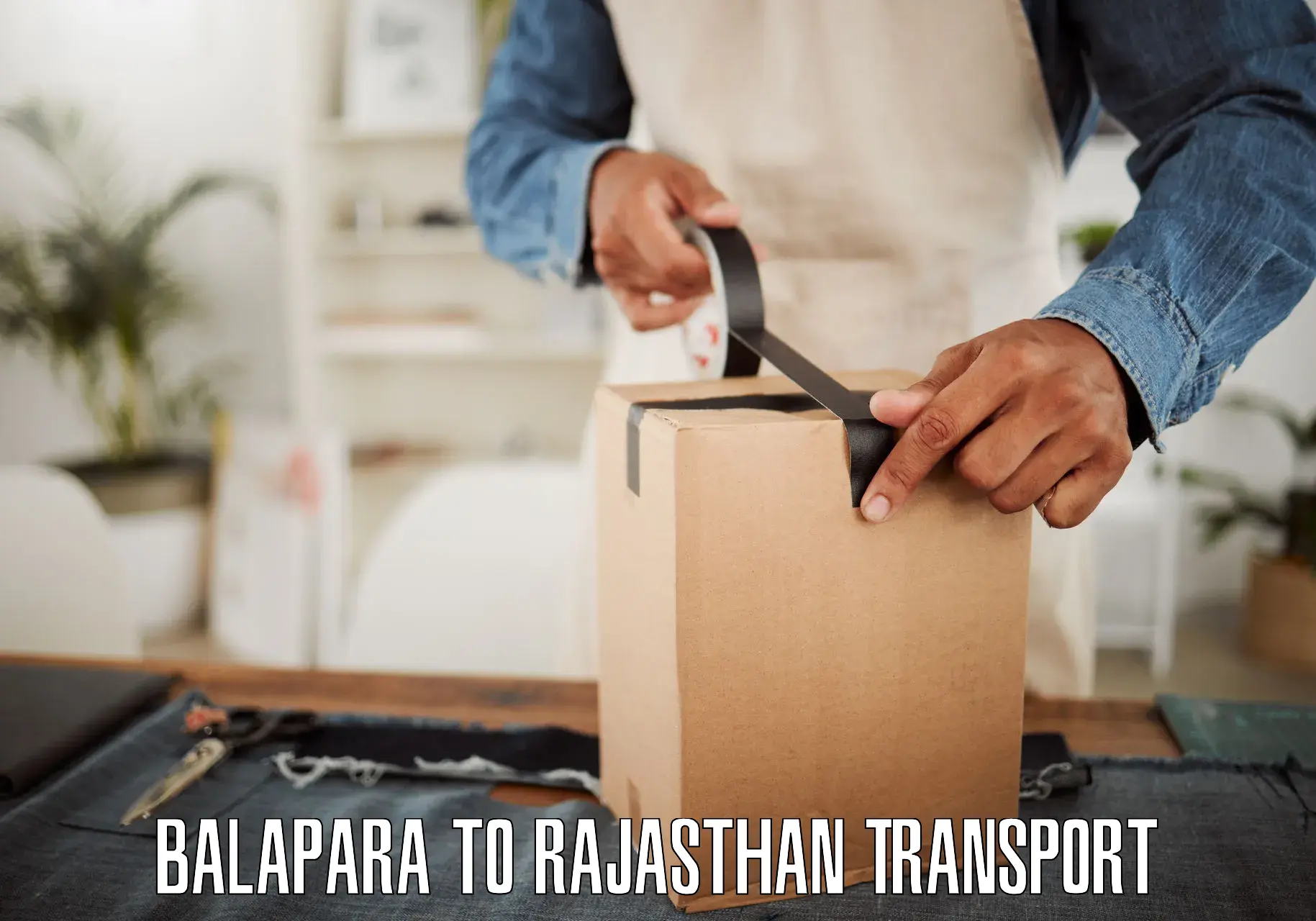 Domestic transport services Balapara to Udaipur