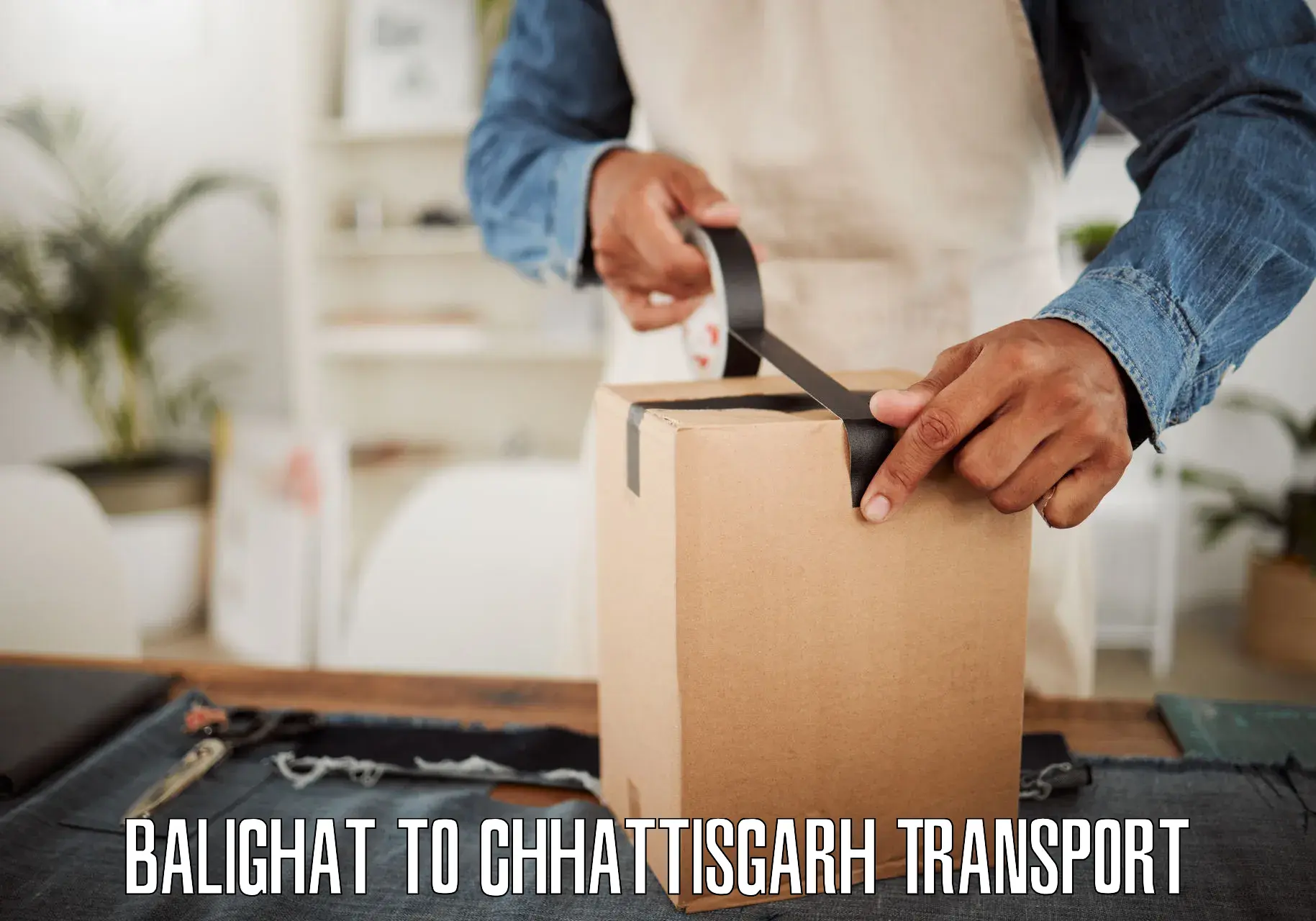 Container transportation services Balighat to Bilaspur