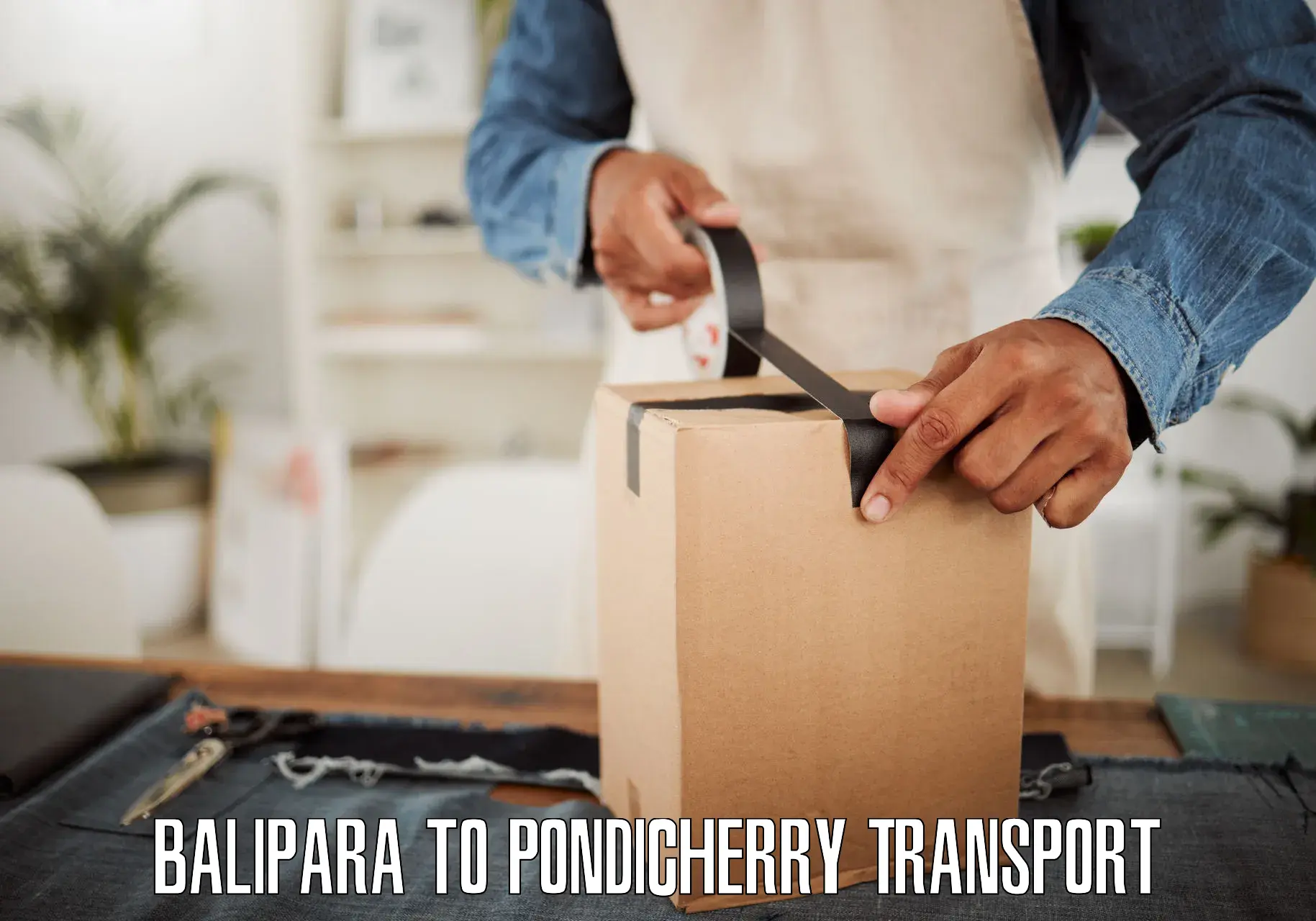 Vehicle transport services Balipara to Pondicherry University