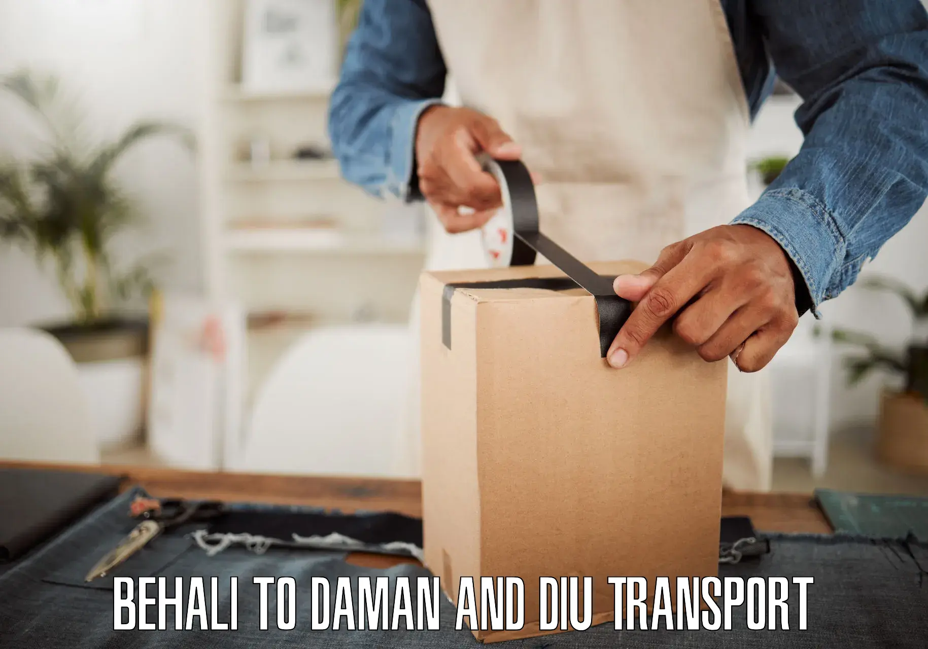 Daily parcel service transport Behali to Daman and Diu