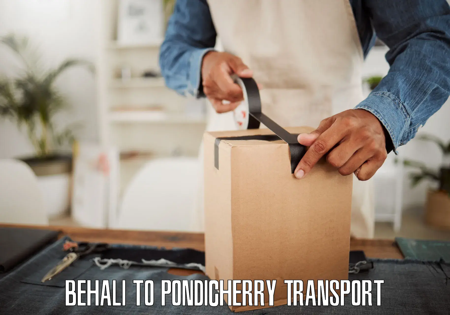 Cargo transportation services Behali to Pondicherry University