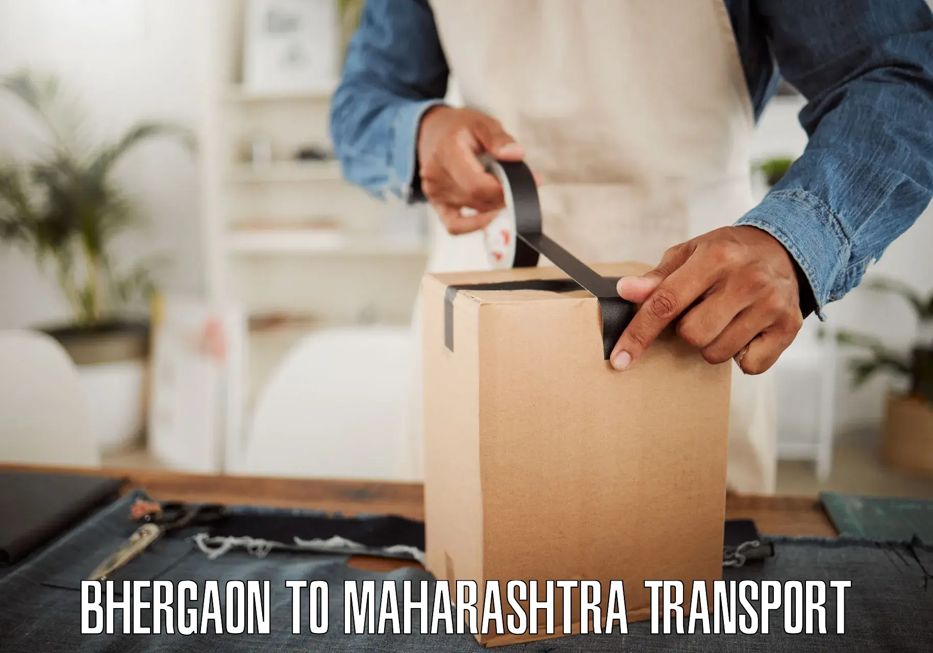 Domestic transport services Bhergaon to Maharashtra