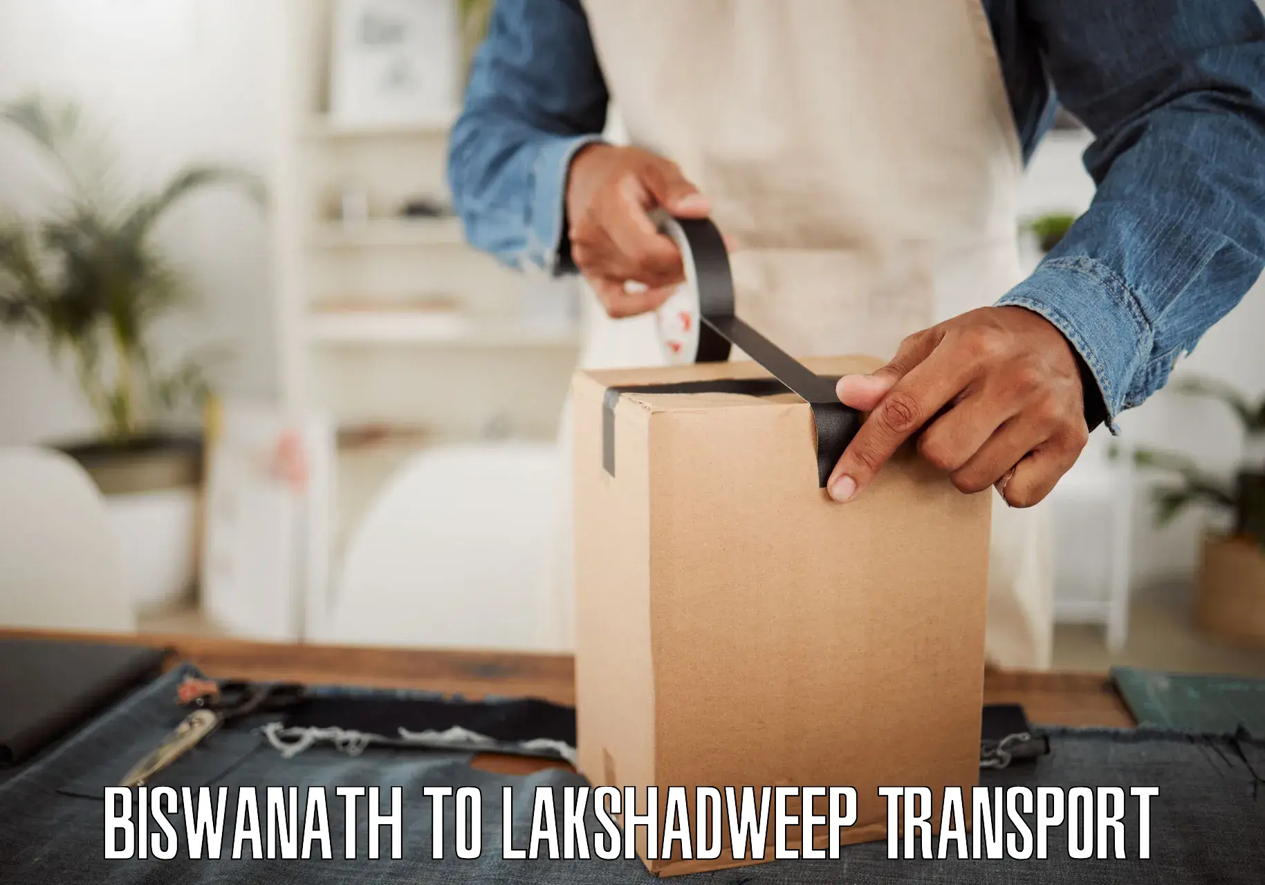 Air freight transport services Biswanath to Lakshadweep