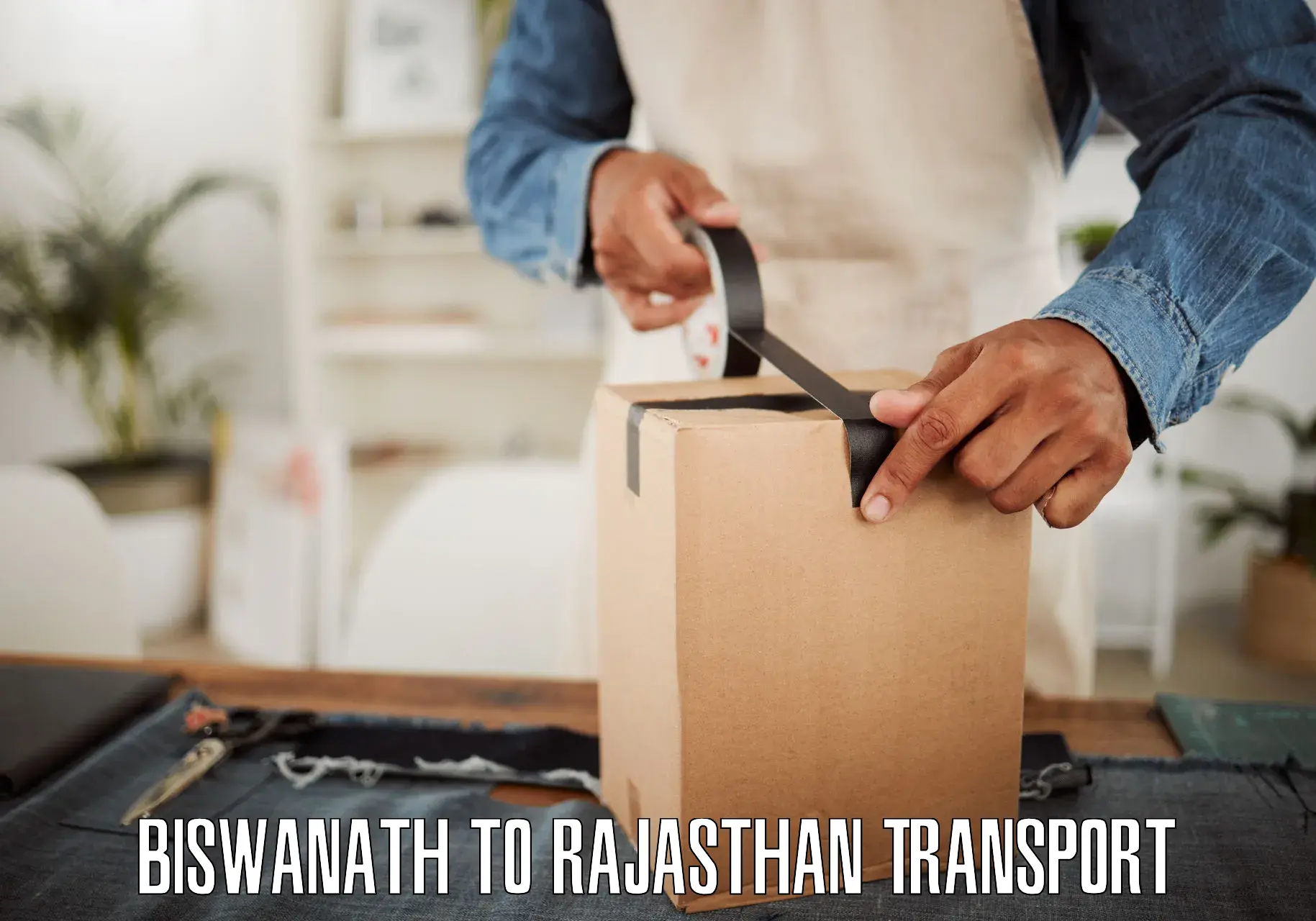 Two wheeler transport services in Biswanath to Rajasthan