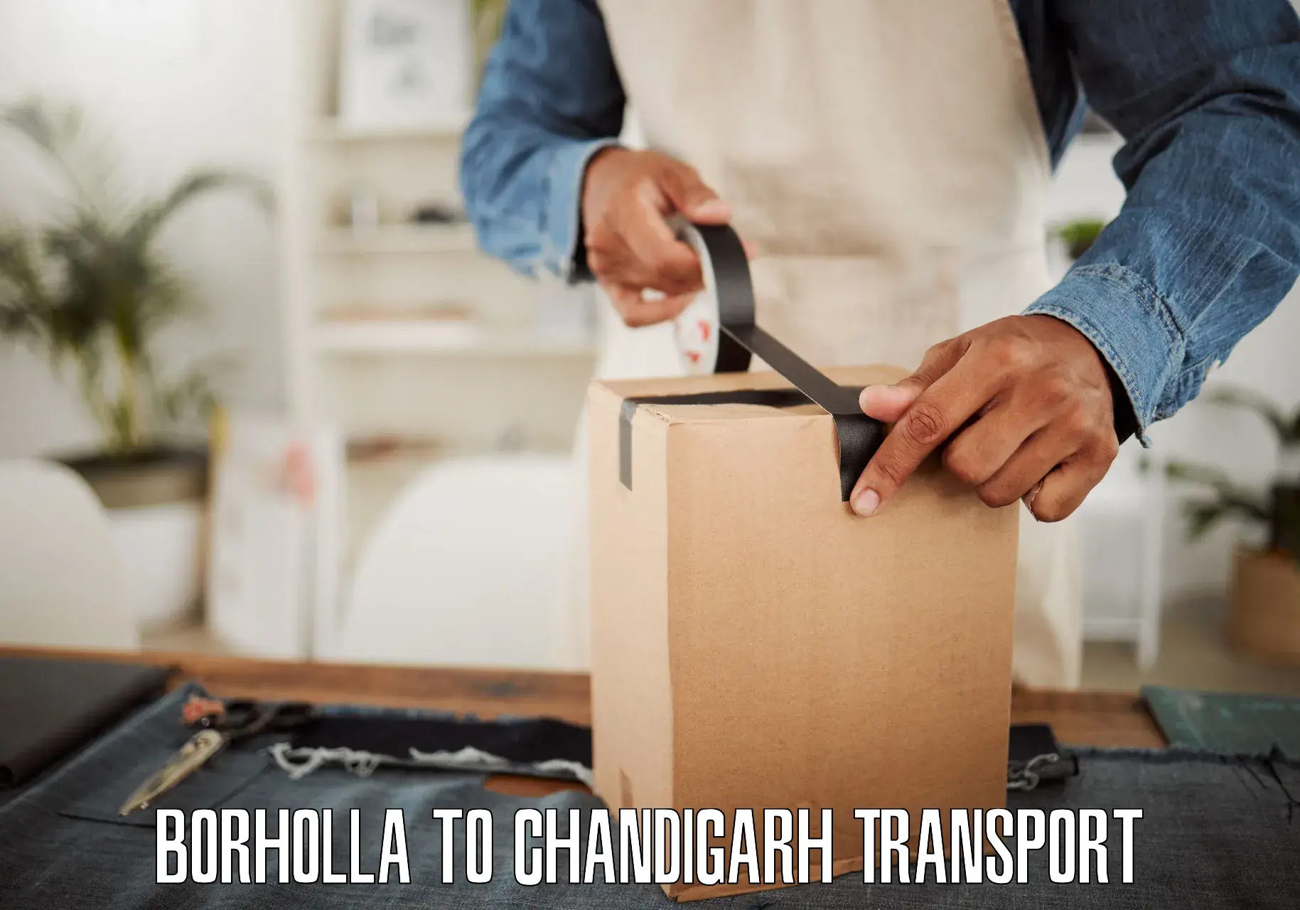 Intercity transport Borholla to Panjab University Chandigarh