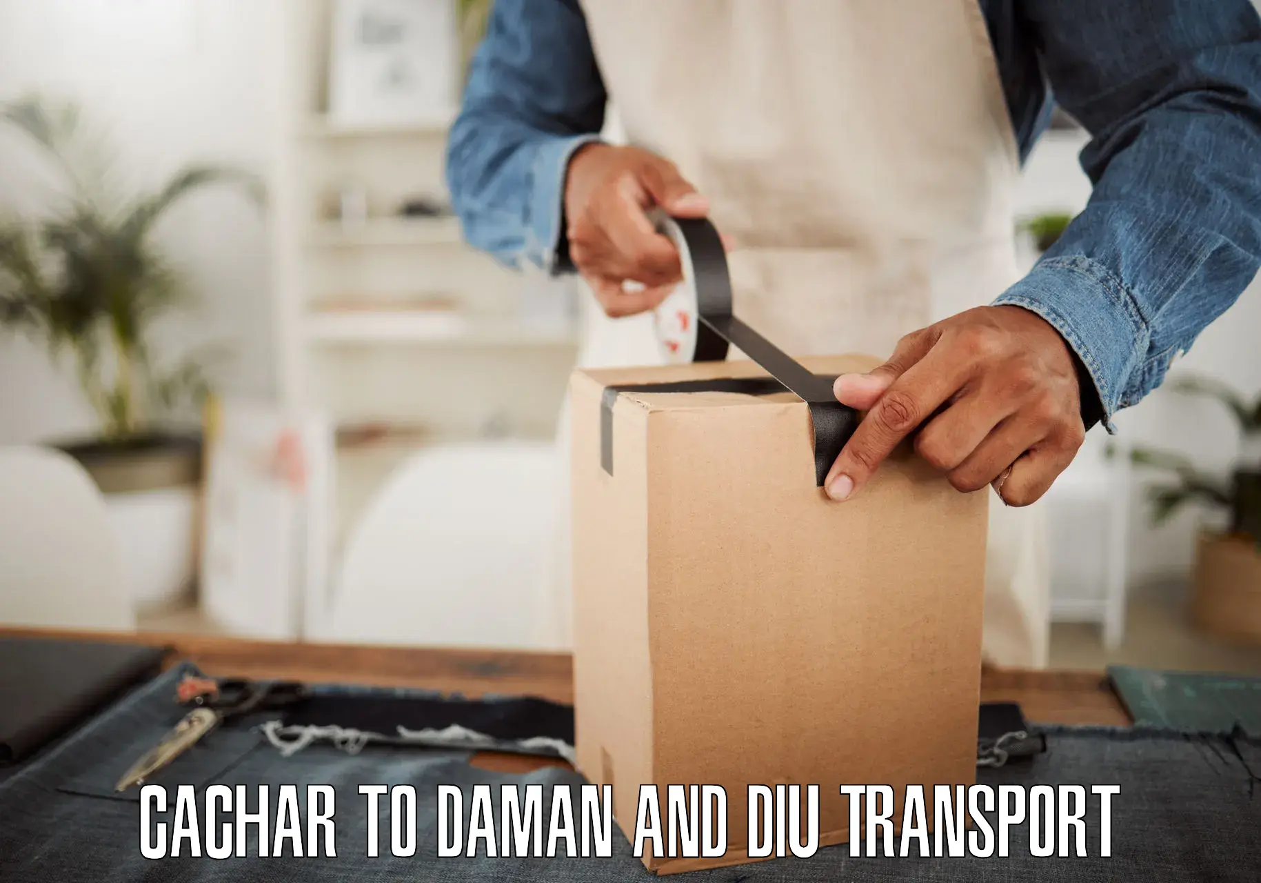 India truck logistics services Cachar to Daman and Diu