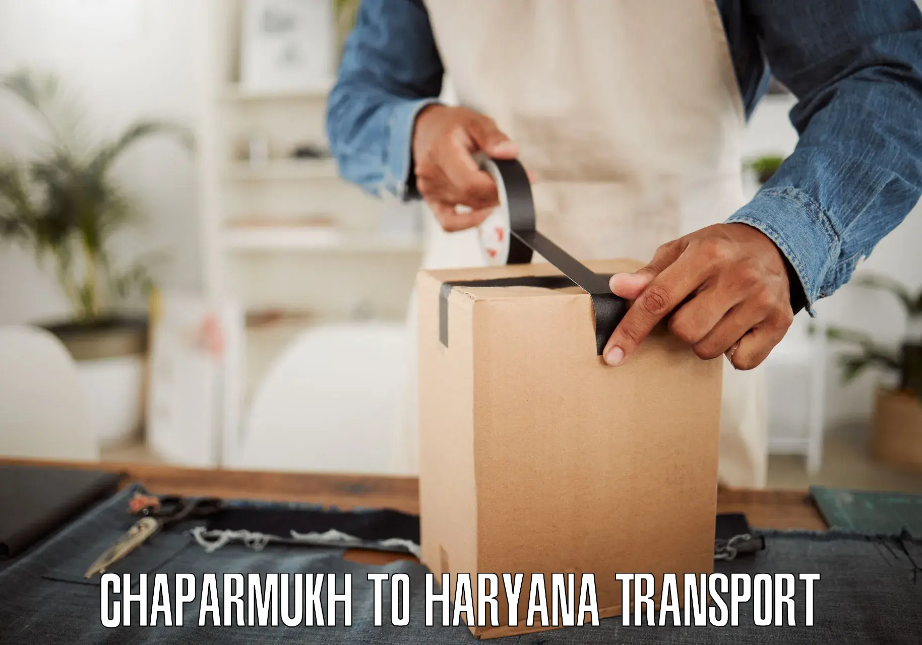 Goods delivery service Chaparmukh to Bilaspur Haryana