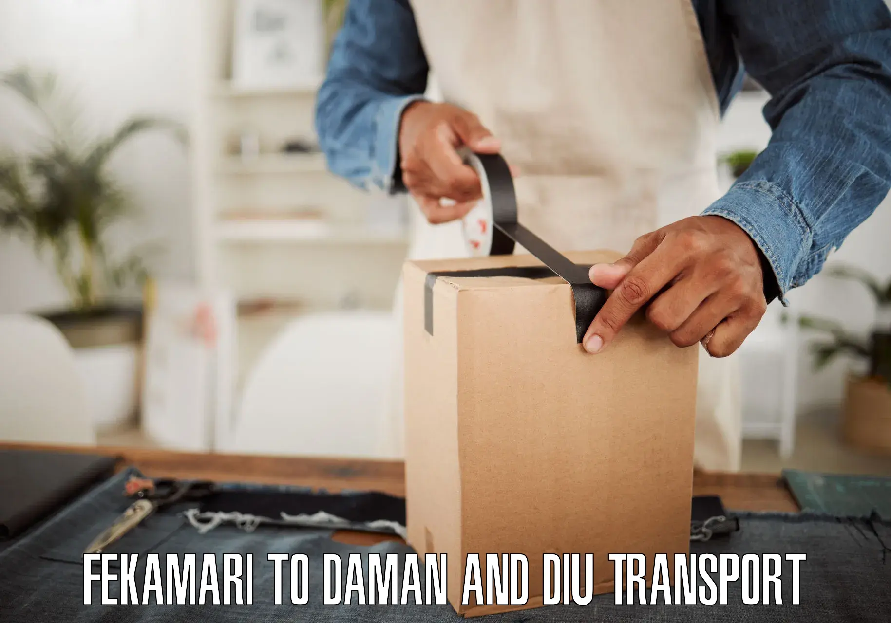 Cargo transport services Fekamari to Daman and Diu