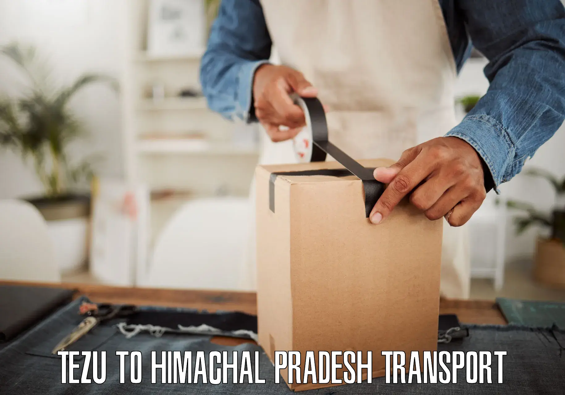 Package delivery services Tezu to Dharampur Kasauli
