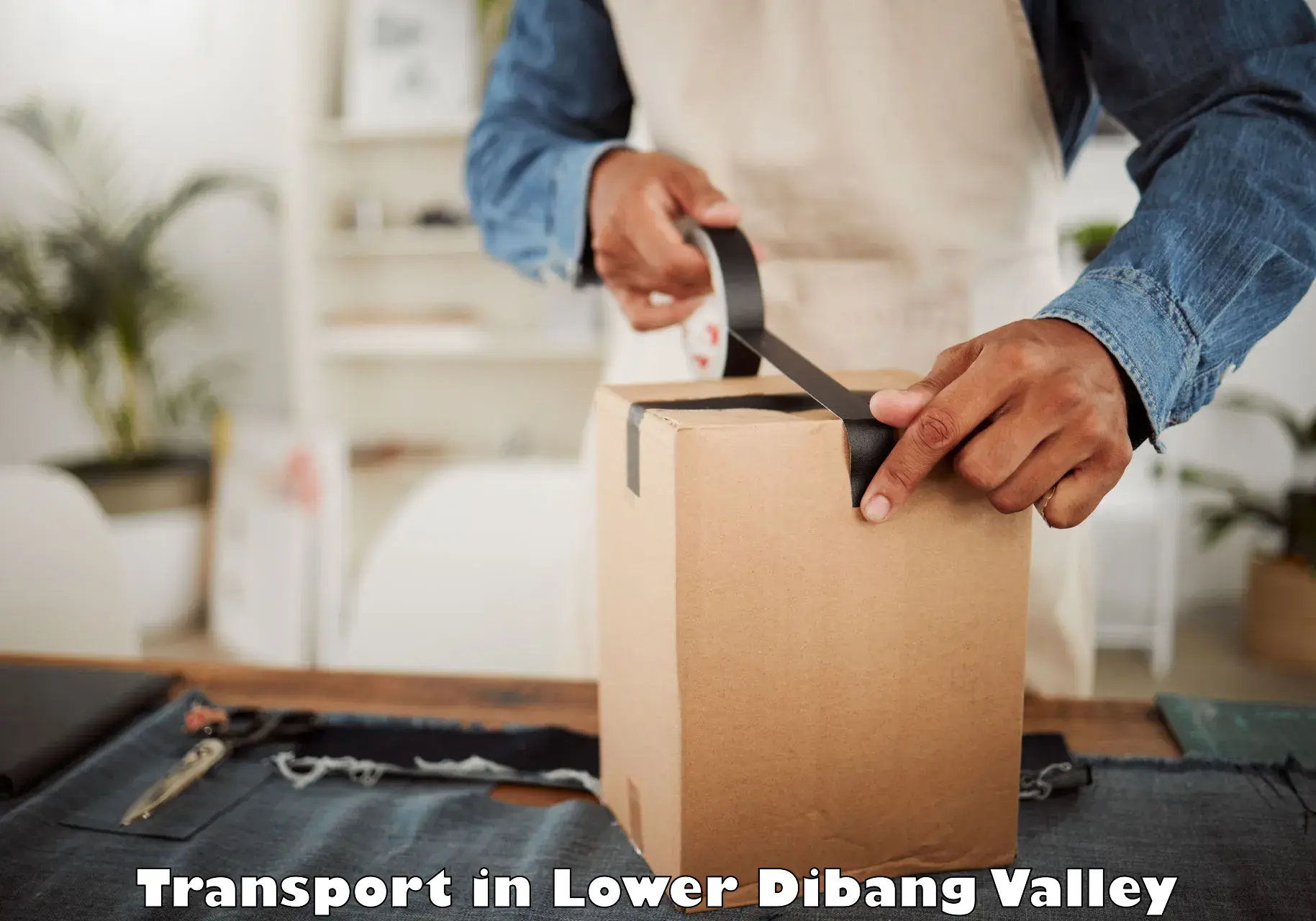 Transport services in Lower Dibang Valley