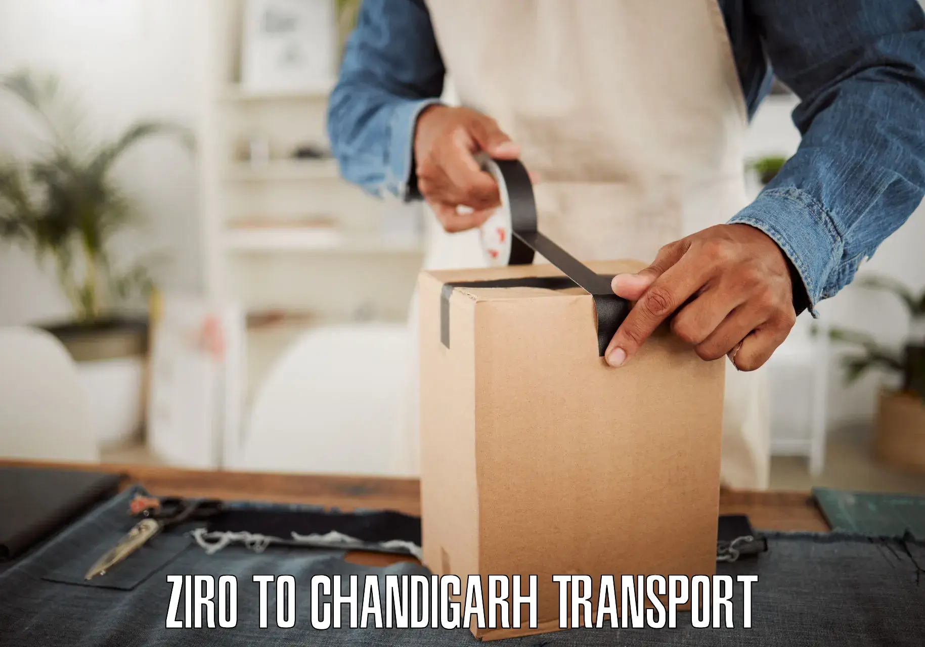 Domestic goods transportation services Ziro to Chandigarh