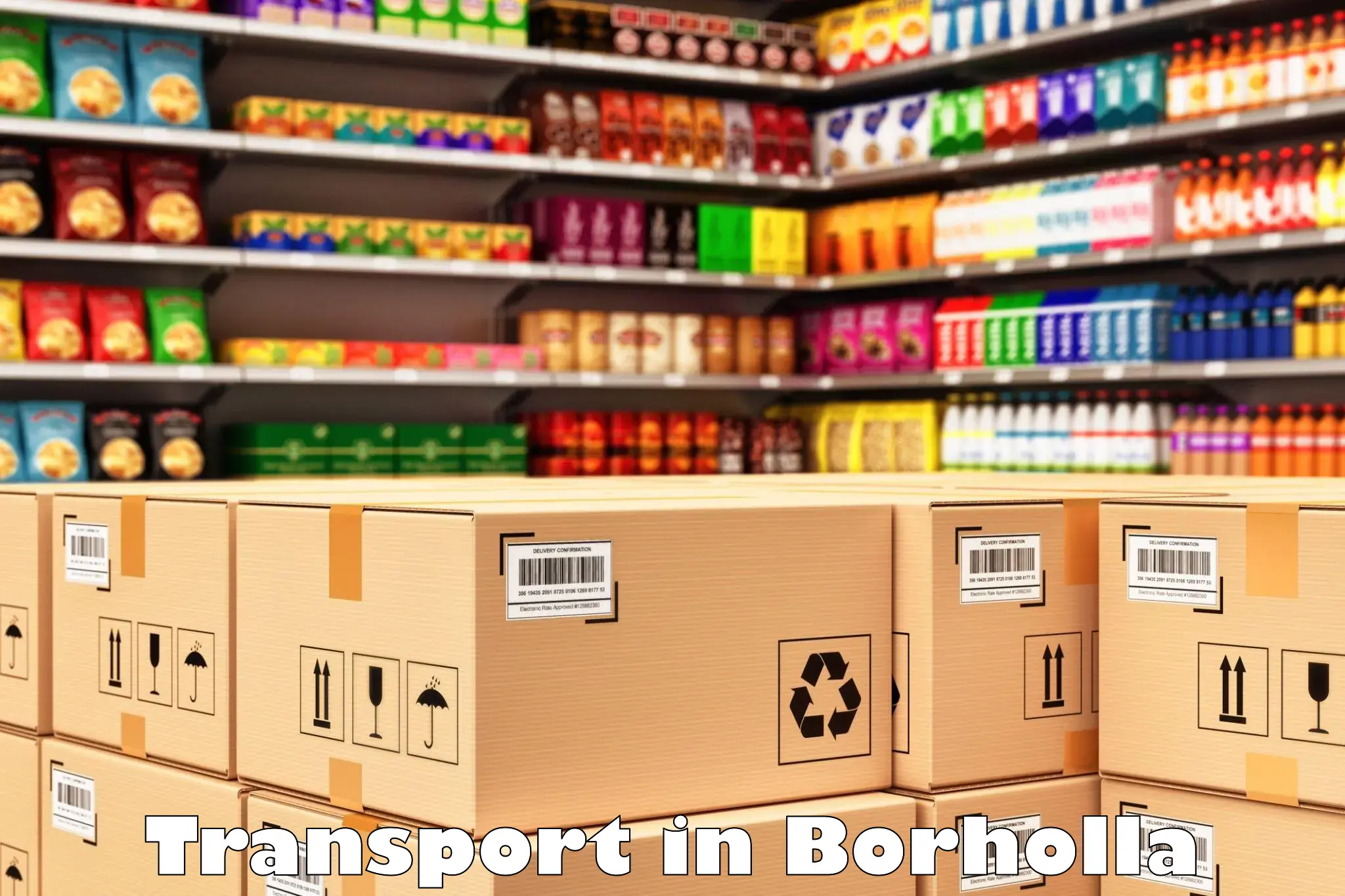 Material transport services in Borholla
