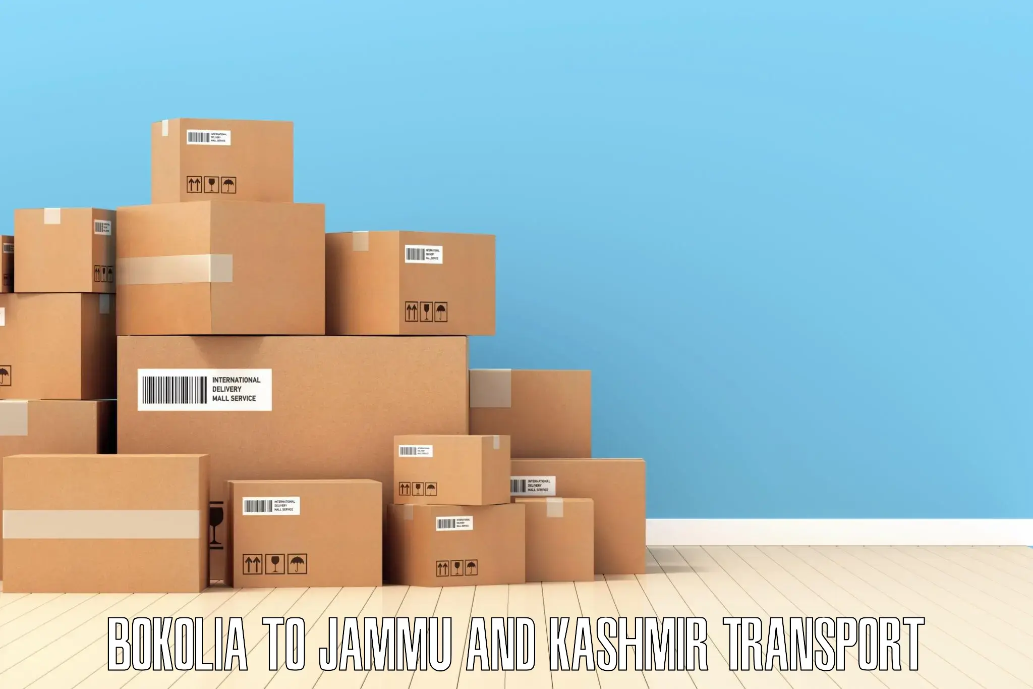 Vehicle courier services Bokolia to Jammu and Kashmir