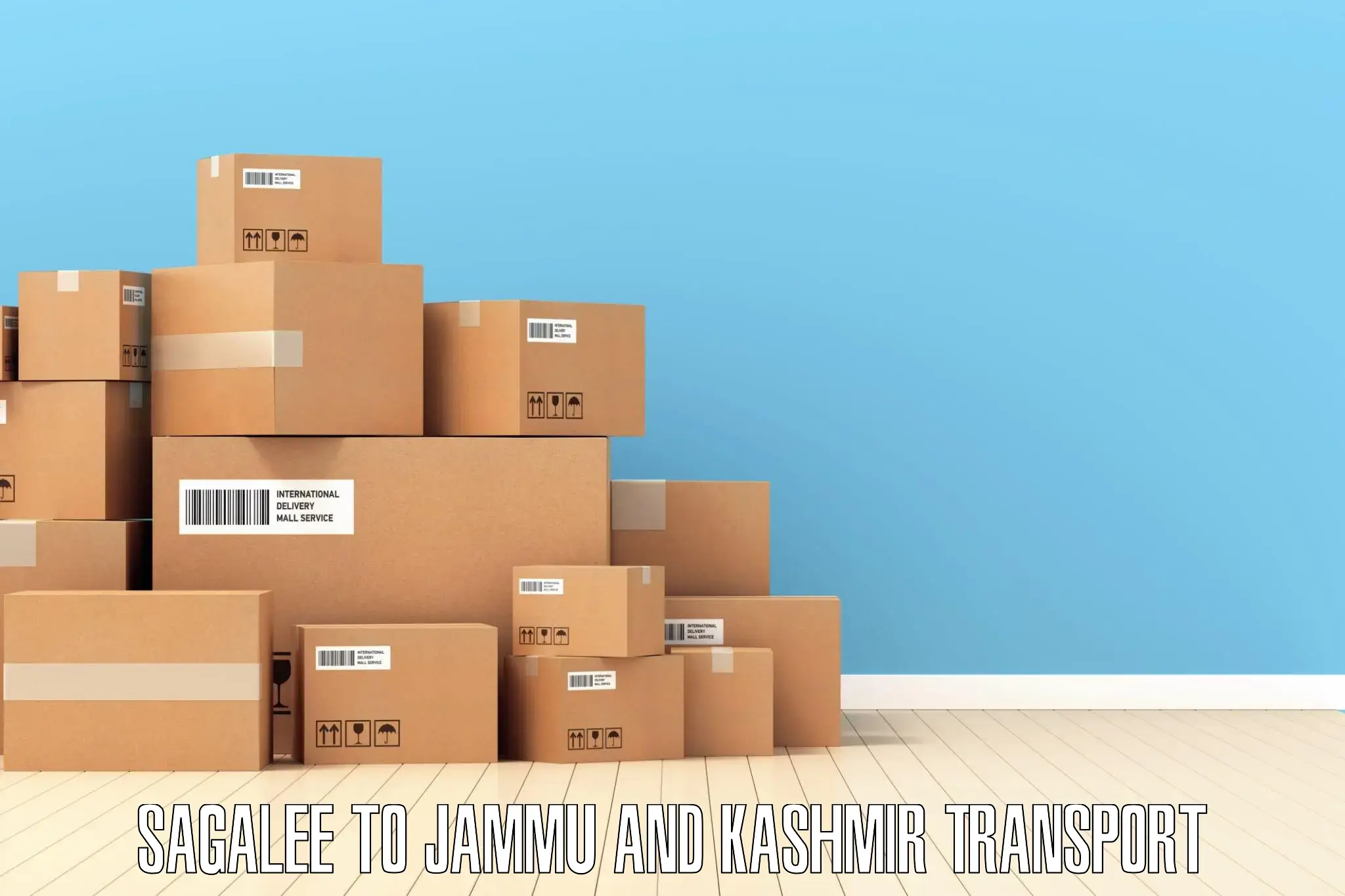 Parcel transport services Sagalee to University of Jammu